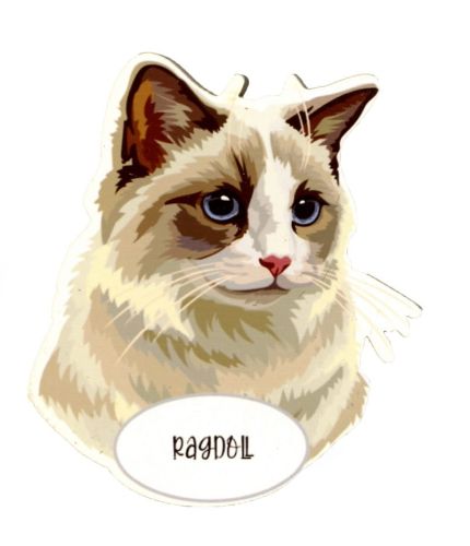 Magnes: Ragdoll