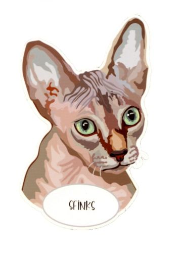 Magnes: Sfinks