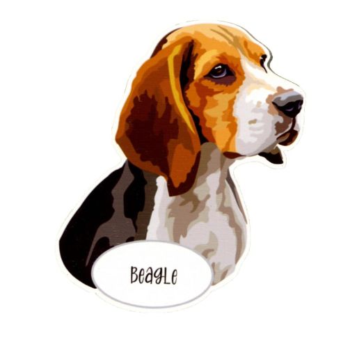 Magnes: Beagle
