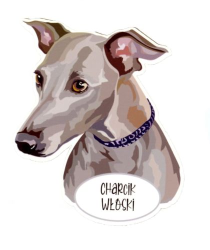 Magnes: Charcik włoski
