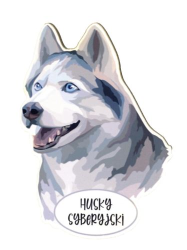 Magnes: Husky syberyjski