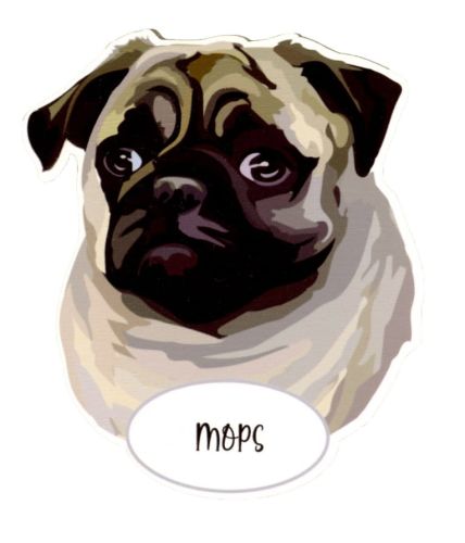 Magnes: Mops