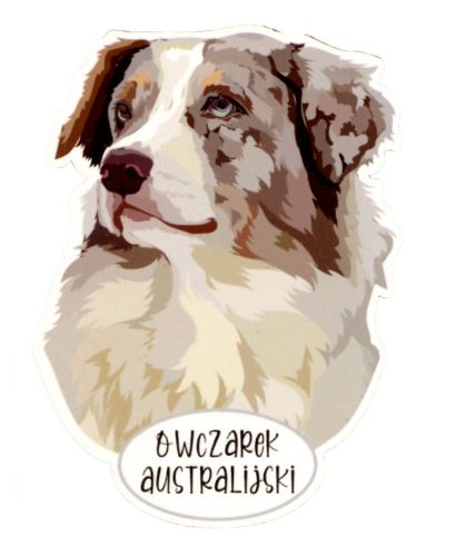 Magnes: Owczarek australijski
