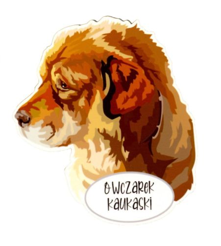 Magnes: Owczarek kaukaski