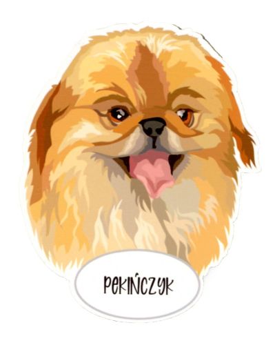Magnes: Pekińczyk