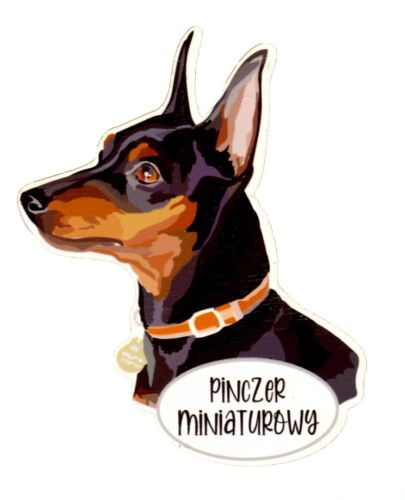 Magnes: Pinczer miniaturowy