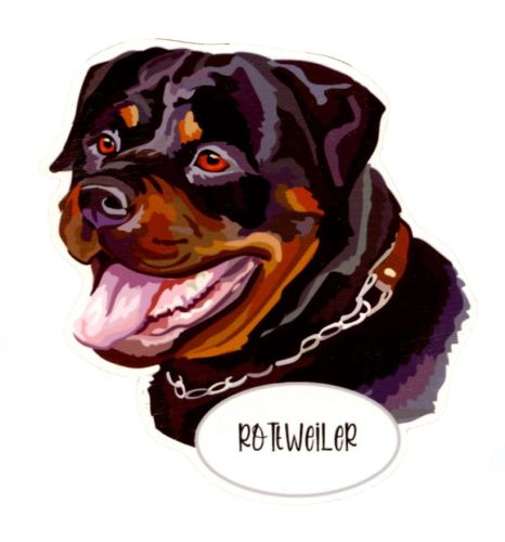 Magnes: Rottweiler