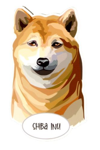 Magnes: Shiba Inu