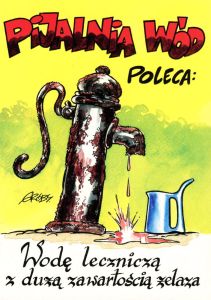 Pijalnia wód poleca