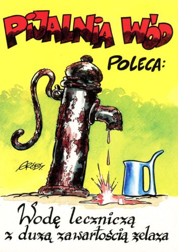 Pijalnia wód poleca