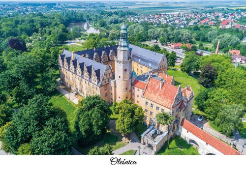 Zamek w Oleśnicy