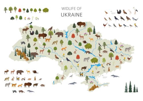 Wildlife of Ukraine