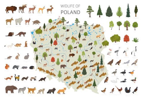 Wildlife of Poland