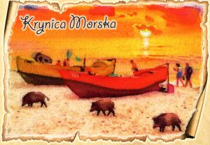 Krynica Morska