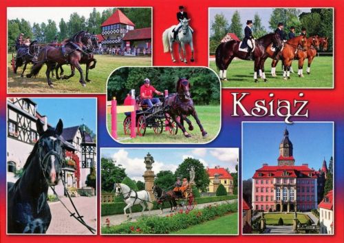 Zamek Książ