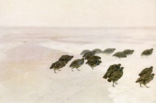 Chełmoński Józef - Kuropatwy