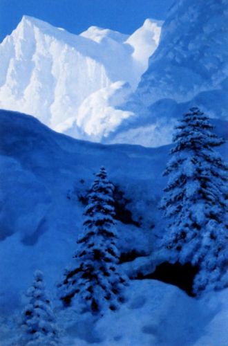 Witkiewicz Stanisław - Gniazdo zimy