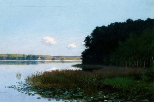 Witkiewicz Stanisław - Jezioro z nenufarami