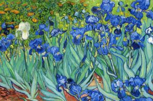 van Gogh Vincent - Irises