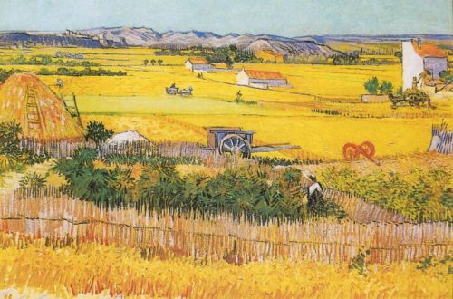 van Gogh Vincent - The plain "La Crau" near Arles