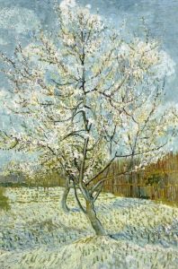 van Gogh Vincent - The pink peach tree