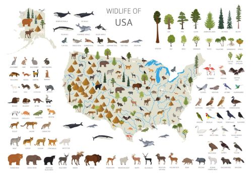 Wildlife of USA