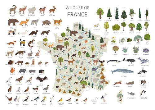 Wildlife of France