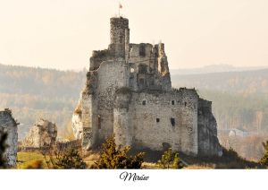 Zamek Mirów