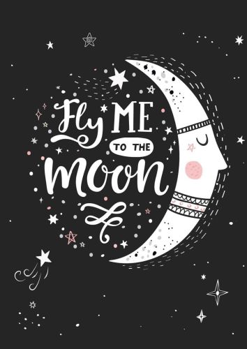 Fly me to the Moon