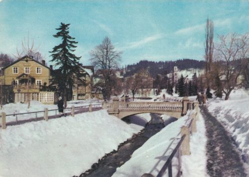 Krynica