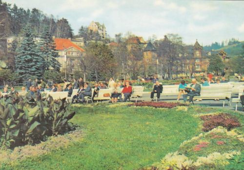 Krynica