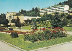 Krynica