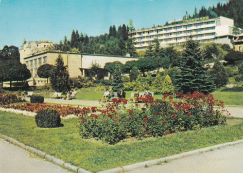 Krynica