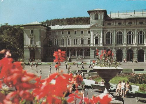 Krynica