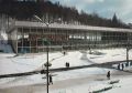 Krynica