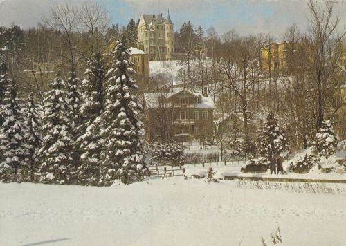 Krynica