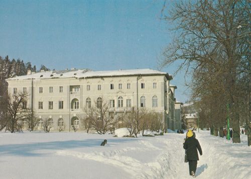 Krynica