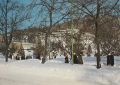 Krynica