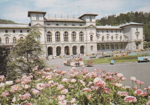 Krynica