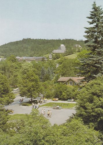 Krynica
