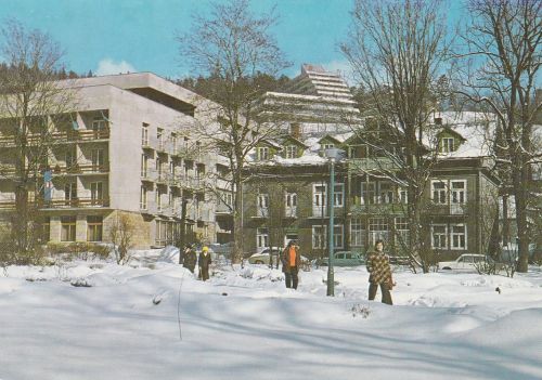 Krynica