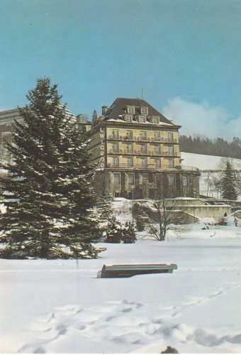 Krynica