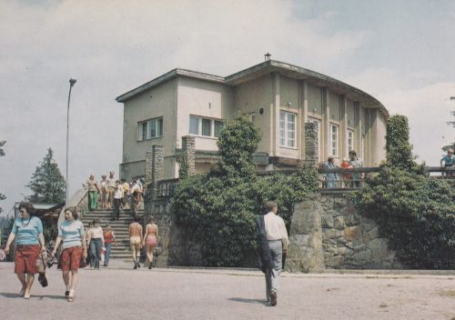 Krynica