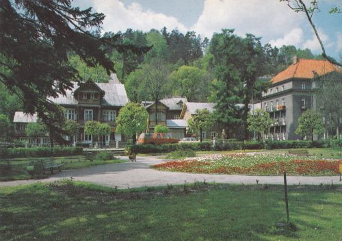 Krynica