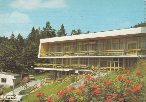 Krynica