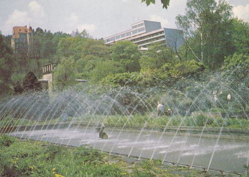 Krynica