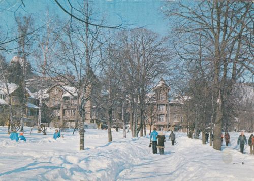 Krynica