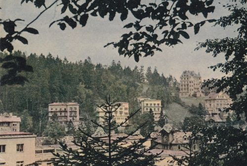 Krynica