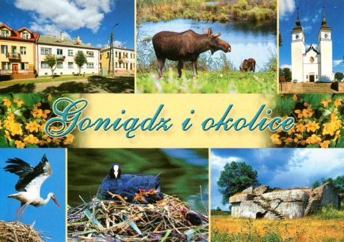Goniądz
