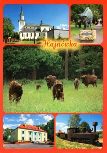 Hajnówka